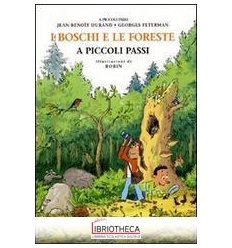 I BOSCHI E LE FORESTE A PICCOLI PASSI