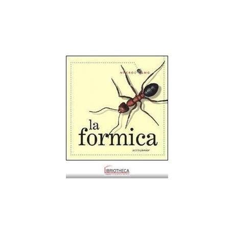 LA FORMICA