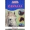 CAVALLI. BAMBINI CURIOSI. CON ADESIVI