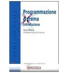 PROGRAMMAZIONE ESTREMA. INTRODUZIONE