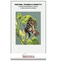 PIETRE, PIUME E INSETTI