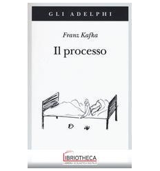 IL PROCESSO