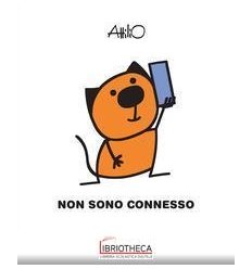 NON SONO CONNESSO