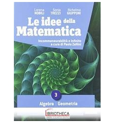 IDEE DELLA MATEMATICA 3 ED. MISTA