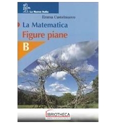 MATEMATICA B