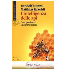 L'INTELLIGENZA DELLE API. COSA POSSIAMO IMPARARE DA