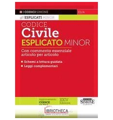 E1/A CODICE CIVILE (ESPLIC. MINOR)