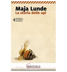 STORIA DELLE API