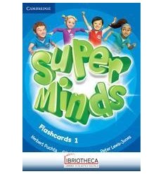 SUPER MINDS 1