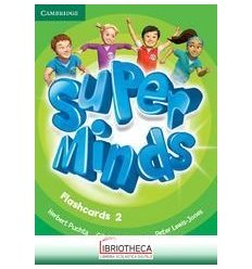 SUPER MINDS 2