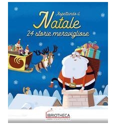 ASPETTANDO IL NATALE. 24 STORI