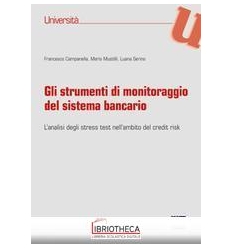 STRUMENTI MONITORAGGIO SISTEMA BANCARIO