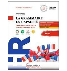 GRAMMAIRE EN CAPSULES A1-B2 ED. MISTA