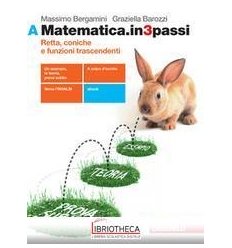 MATEMATICA.IN3PASSI A ED. MISTA