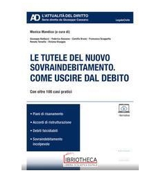 TUTELE DEL NUOVO SOVRAINDEBITAMENTO. COME USCIRE DAL