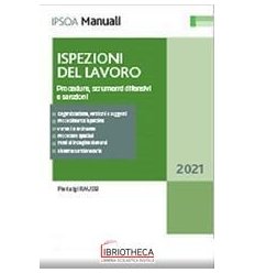 Ispezioni del lavoro. Procedure, strumen