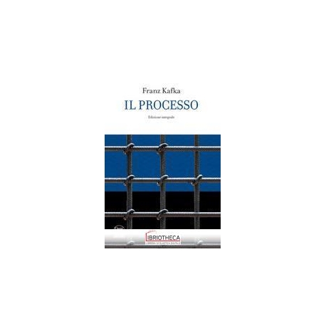 IL PROCESSO