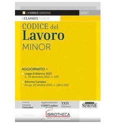 CODICE DEL LAVORO - MINOR