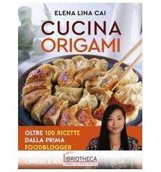IL MIO LIBRO  cosa troverete nel libro Cucina Origami 
